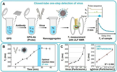 新型磁性生物传感技术可检测病毒和蛋白相互作用