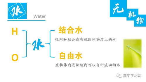 高中生物中的无机物和有机物基础知识梳理